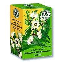 Эвкалипта лист